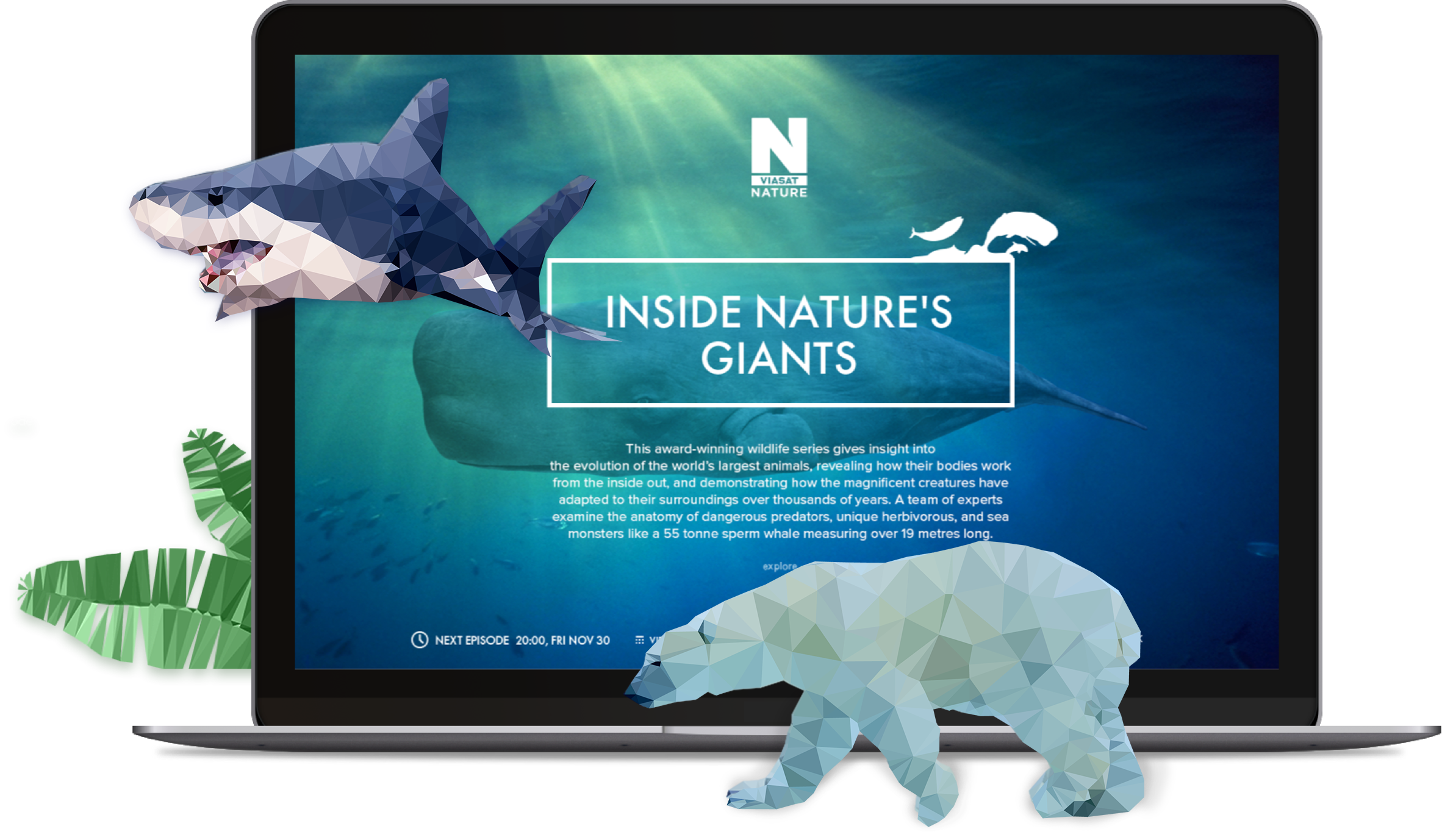 Image: screen Viasat Nature with wheel, shark and polar bear